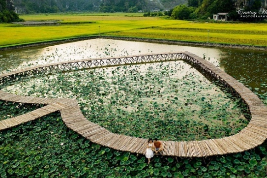 Khám phá vẻ đẹp hồ sen tháng 6 tại Ninh Bình